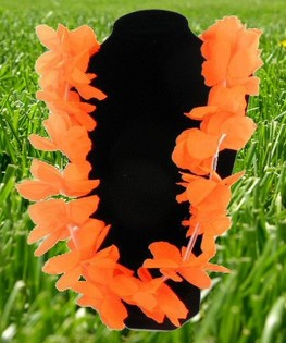 ORANGE VM FODBOLD HAWAIIKRANS (12 stk.)