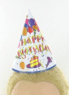 PARTYHATTE (12 stk.)