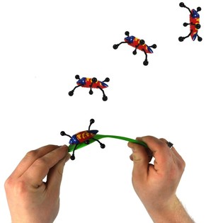 SMIFFY'S INSEKTTUMLING / WALL WALKER (72 stk.)